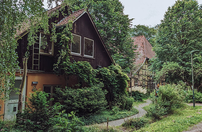 bewachsenes bauernhaus Fachwerk Norddeutschland